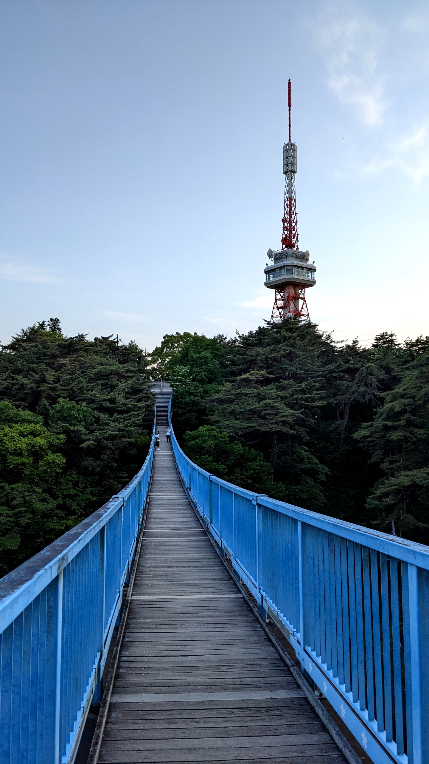 Uysunomiya tower