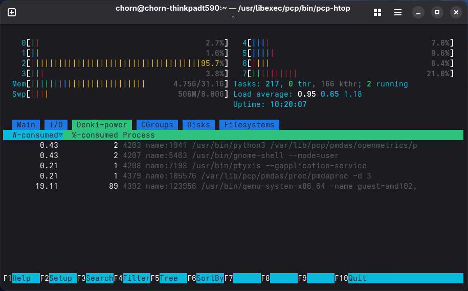 Single process in guest