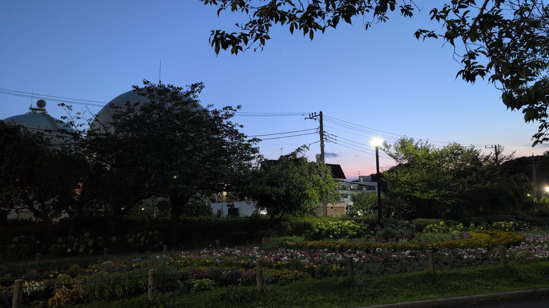 Park in the dusk