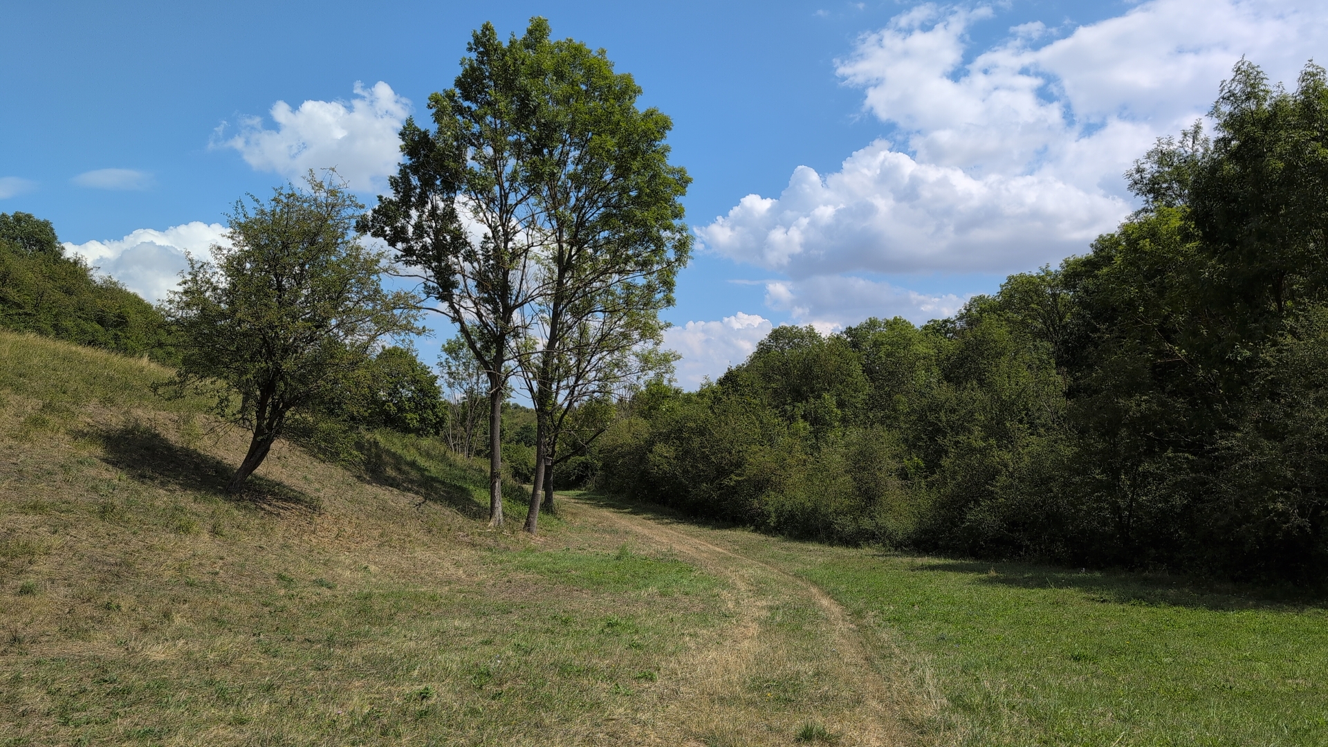 Trail - a thorn here leading to flat tyre
