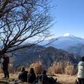 Society Watching and Corona in Japan