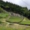 Visiting a tea farm in Japan