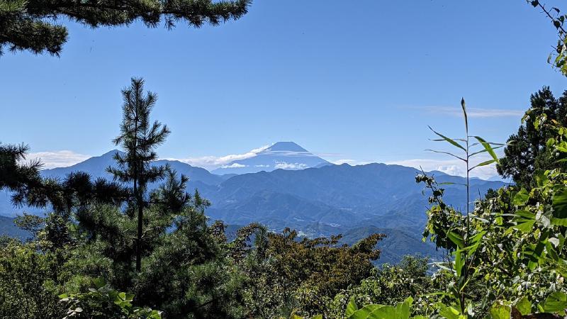 Featured image of post A typical Hiking trip in the Tokyo area