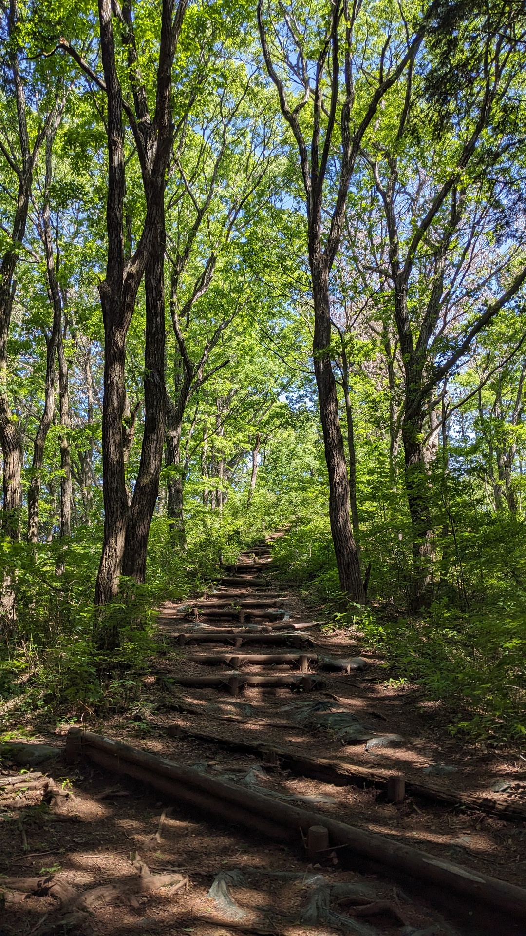 Green in May