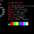 Bringing IPv6 into the LAN Blues