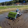 Bike trip to Tochigi and rice planting
