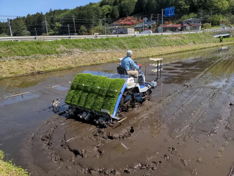 Featured image of post Bike trip to Tochigi and rice planting