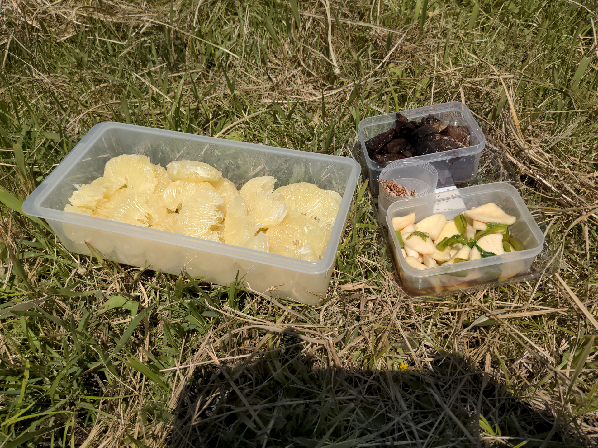 fruit and vegetable