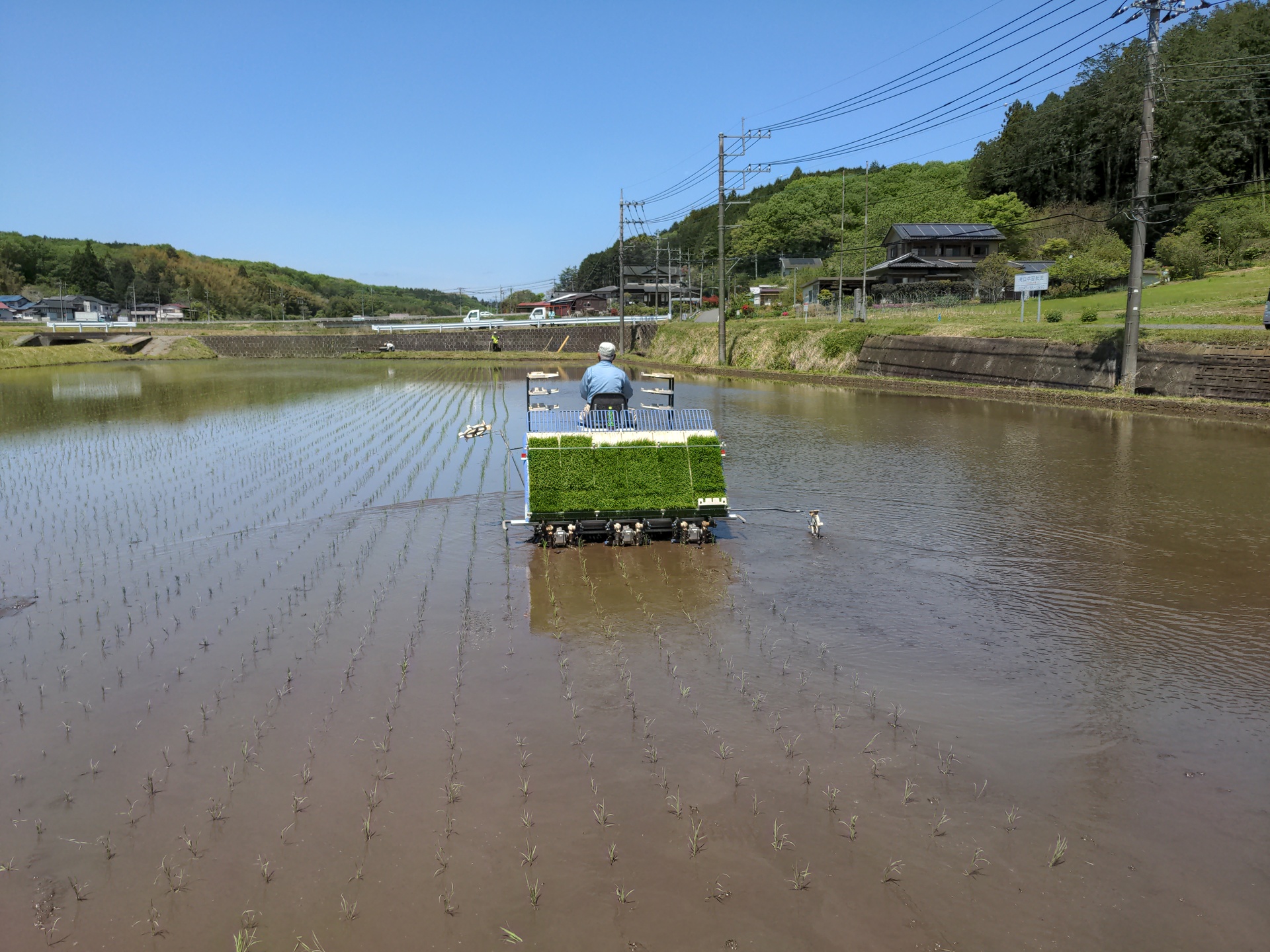 rice planter