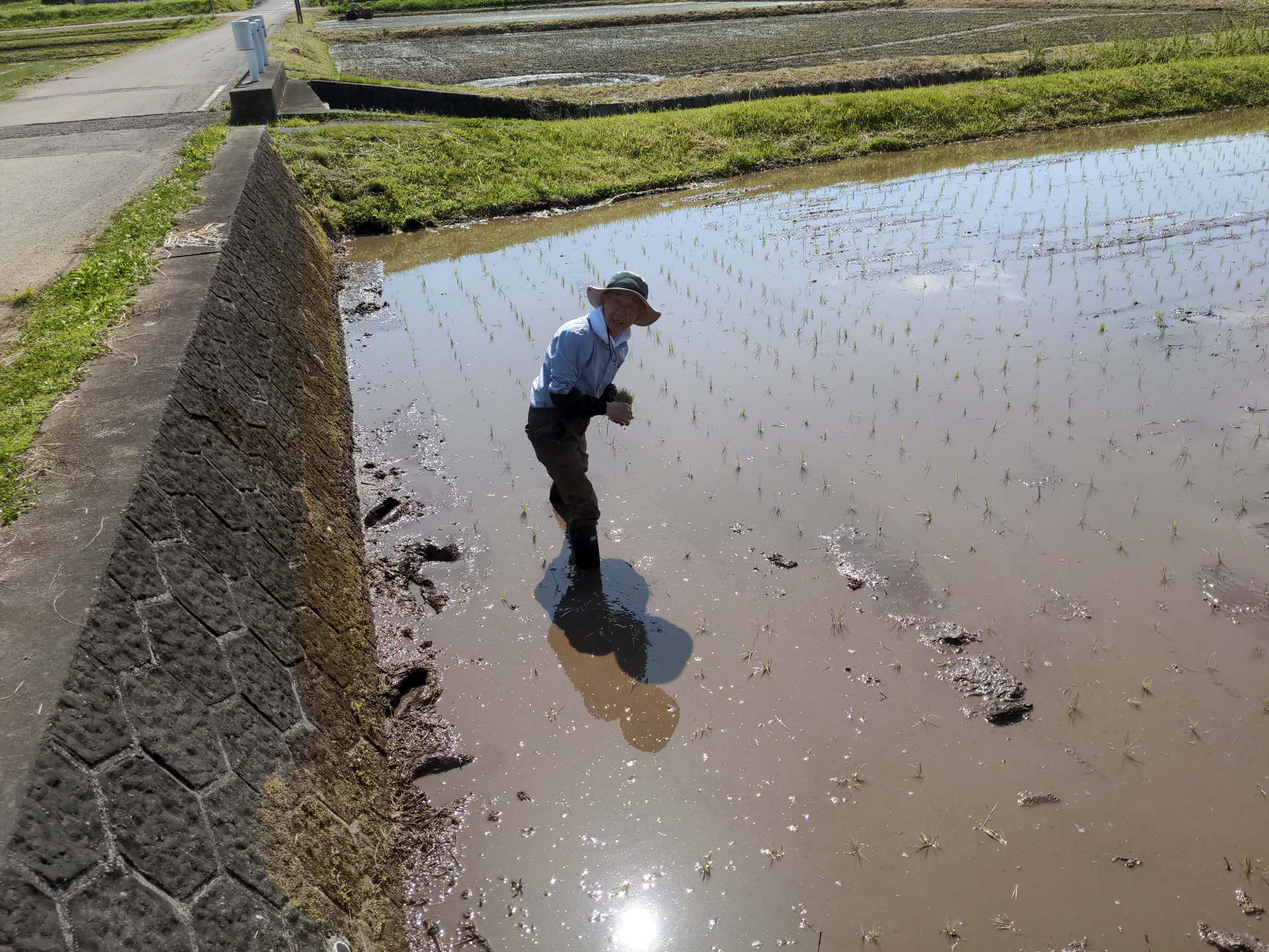 planting by hand