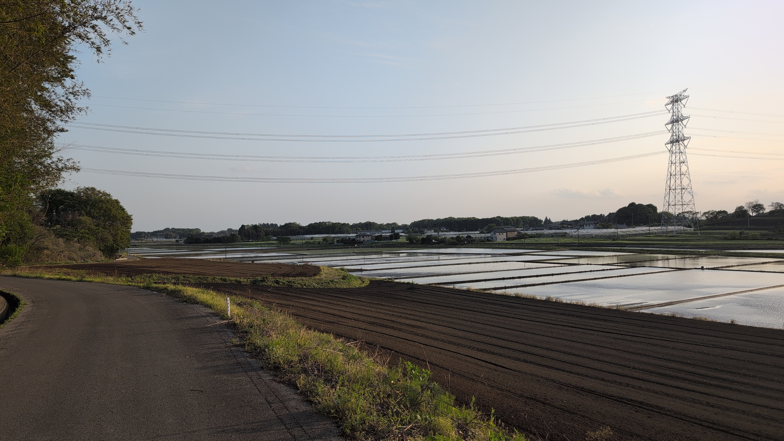 rice paddies