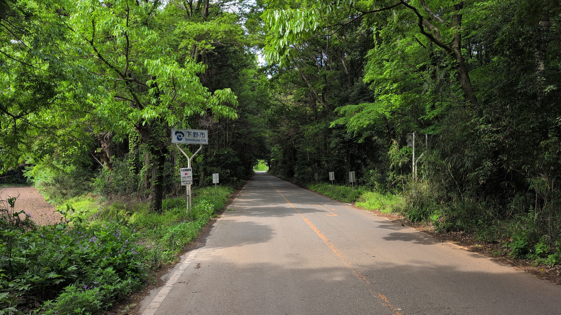 morning route