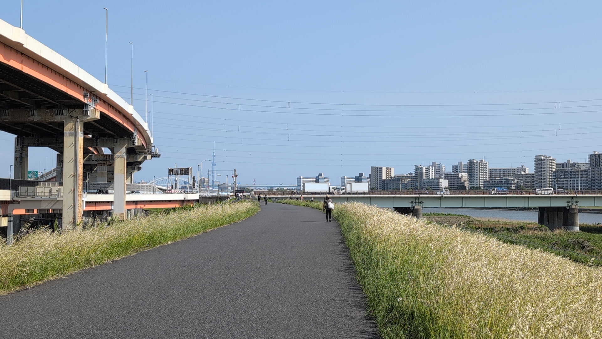 back in Tokyo